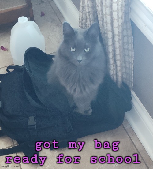 got my bag ready for school | made w/ Imgflip meme maker