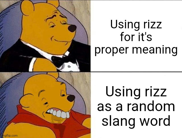 Tuxedo Winnie the Pooh grossed reverse | Using rizz for it's proper meaning; Using rizz as a random slang word | image tagged in tuxedo winnie the pooh grossed reverse | made w/ Imgflip meme maker