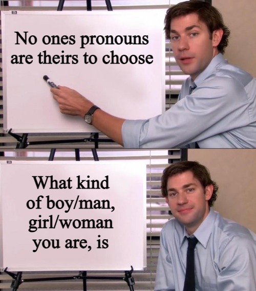 And the variations are endless, bc no one's the same even when they try | No ones pronouns are theirs to choose; What kind of boy/man, girl/woman you are, is | image tagged in jim halpert explains,gender identity,pronouns | made w/ Imgflip meme maker