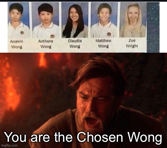 Anakin, you are | You are the Chosen Wong | image tagged in memes,you were the chosen one star wars,wong,anakin | made w/ Imgflip meme maker