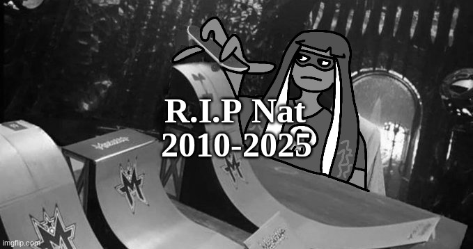 Skatezboard | R.I.P Nat; 2010-2025 | image tagged in skatezboard | made w/ Imgflip meme maker