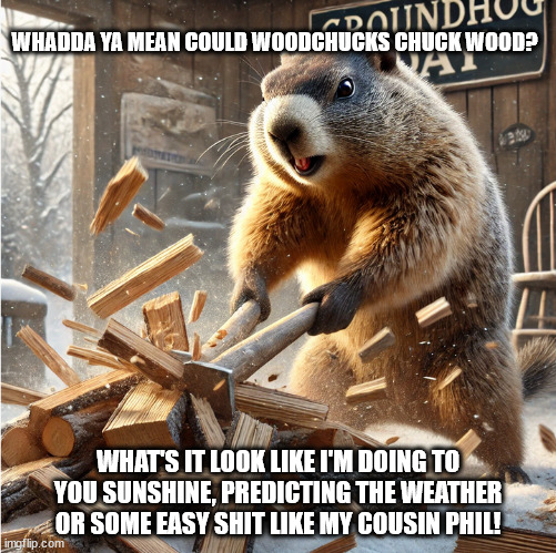 groundhog day | WHADDA YA MEAN COULD WOODCHUCKS CHUCK WOOD? WHAT'S IT LOOK LIKE I'M DOING TO YOU SUNSHINE, PREDICTING THE WEATHER OR SOME EASY SHIT LIKE MY COUSIN PHIL! | image tagged in groundhog day,gopher,pucsatony phil,woodchuck,bill murray groundhog day,groudhog | made w/ Imgflip meme maker