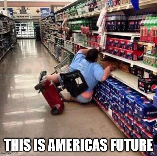 Fat Person Falling Over | THIS IS AMERICAS FUTURE | image tagged in fat person falling over | made w/ Imgflip meme maker