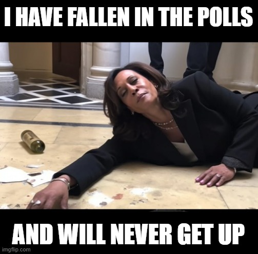 drunk kamala | I HAVE FALLEN IN THE POLLS AND WILL NEVER GET UP | image tagged in drunk kamala | made w/ Imgflip meme maker