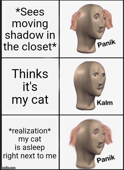 The start of Nyctophobia | *Sees moving shadow in the closet*; Thinks it's my cat; *realization* my cat is asleep right next to me | image tagged in memes,panik kalm panik,inner panic | made w/ Imgflip meme maker