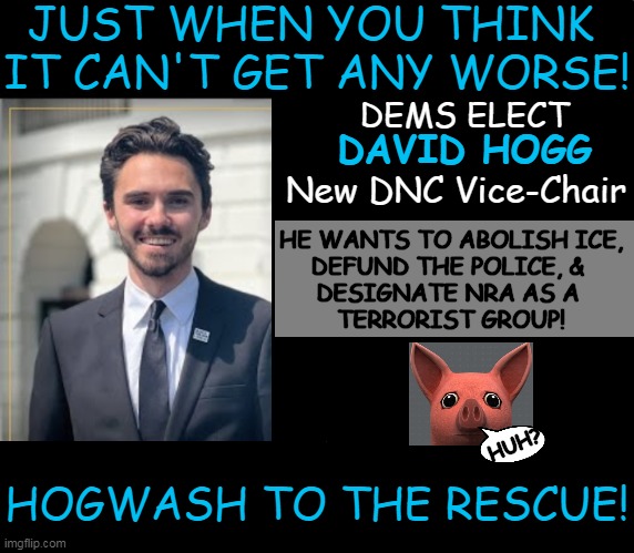 This is NOT THE BABYLON BEE! How Many Reasons NOT to Vote Democrat Do People Need? | JUST WHEN YOU THINK 
IT CAN'T GET ANY WORSE! DEMS ELECT; DAVID HOGG; New DNC Vice-Chair; HE WANTS TO ABOLISH ICE, 
DEFUND THE POLICE, & 
DESIGNATE NRA AS A 
TERRORIST GROUP! HUH? HOGWASH TO THE RESCUE! | image tagged in david hogg,democrats,election,dnc,abolish ice defund police designate nra as a terrorist group,political humor | made w/ Imgflip meme maker