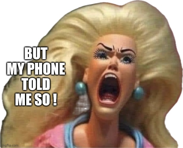 Liberal Barbie | BUT MY PHONE TOLD ME SO ! | image tagged in liberal barbie | made w/ Imgflip meme maker