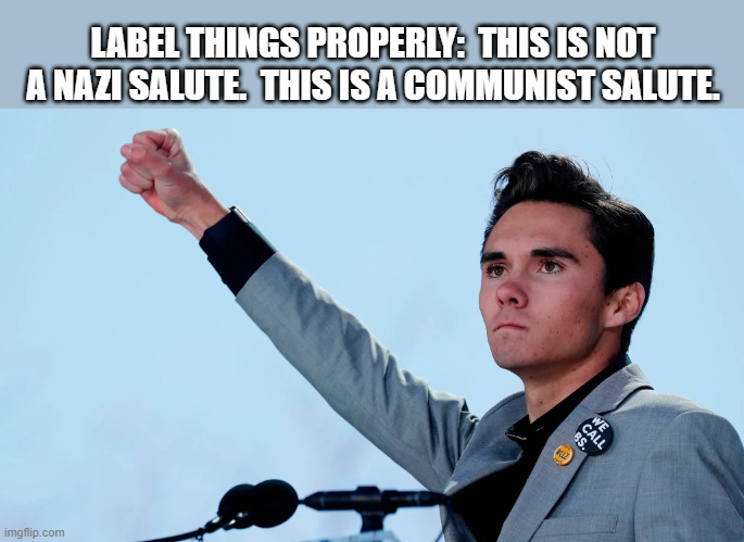 David Hogg the Communist | LABEL THINGS PROPERLY:  THIS IS NOT A NAZI SALUTE.  THIS IS A COMMUNIST SALUTE. | image tagged in david hogg | made w/ Imgflip meme maker