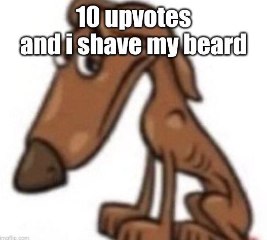 wanna look more feminine brooooo | 10 upvotes and i shave my beard | image tagged in sad dog | made w/ Imgflip meme maker