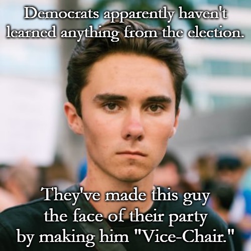 Just making it more difficult for them to win anything the next decade. I can't laugh any harder. | Democrats apparently haven't learned anything from the election. They've made this guy the face of their party by making him "Vice-Chair." | image tagged in david hogg,democrats,crying democrats,laughing,maga | made w/ Imgflip meme maker