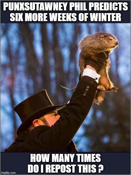 More 'Brrrrrrrr' ! | PUNXSUTAWNEY PHIL PREDICTS SIX MORE WEEKS OF WINTER; HOW MANY TIMES DO I REPOST THIS ? | image tagged in groundhog day,reposts | made w/ Imgflip meme maker