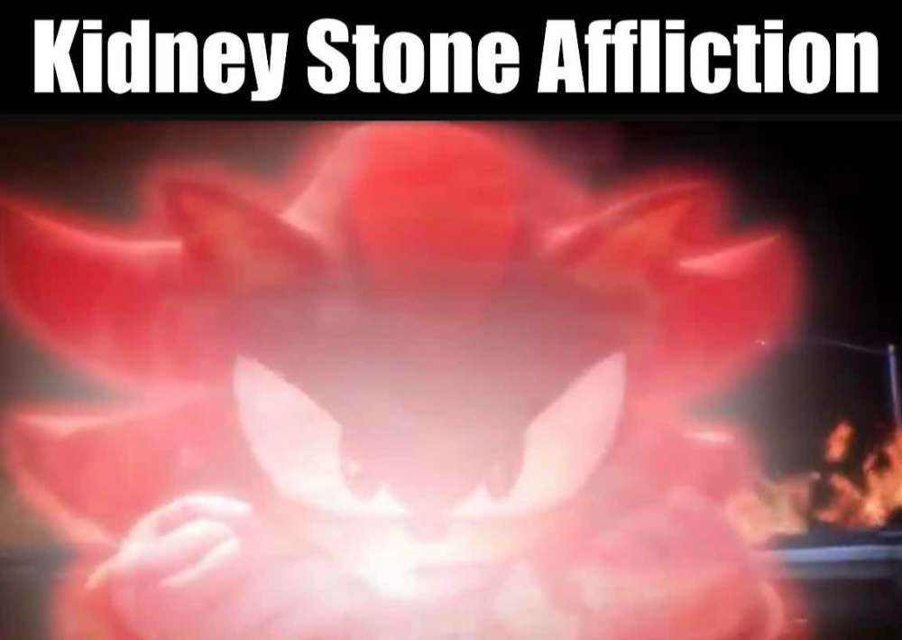 SHADOW KIDNEY STONE AFFLICTION Blank Meme Template