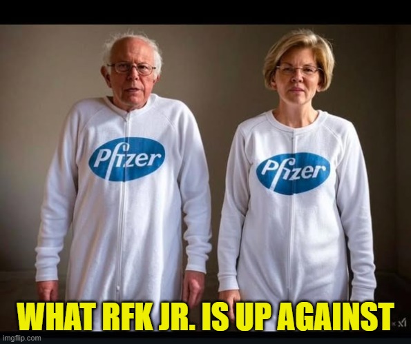 Our Government is owned and does not work in our best interests! | WHAT RFK JR. IS UP AGAINST | image tagged in pfizer,big pharma,antivax,vaccination,government corruption,kennedy | made w/ Imgflip meme maker