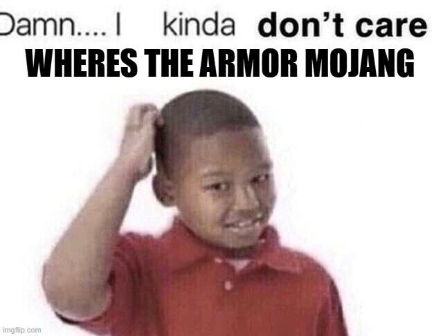 WHERES THE ARMOR MOJANG | image tagged in damn i kinda dont care | made w/ Imgflip meme maker