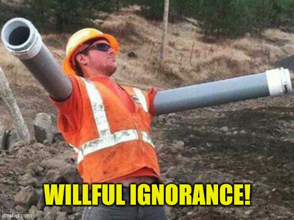 Double arm construction worker | WILLFUL IGNORANCE! | image tagged in double arm construction worker | made w/ Imgflip meme maker