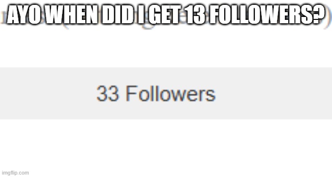 That's phenominal thanks guys | AYO WHEN DID I GET 13 FOLLOWERS? | image tagged in image | made w/ Imgflip meme maker