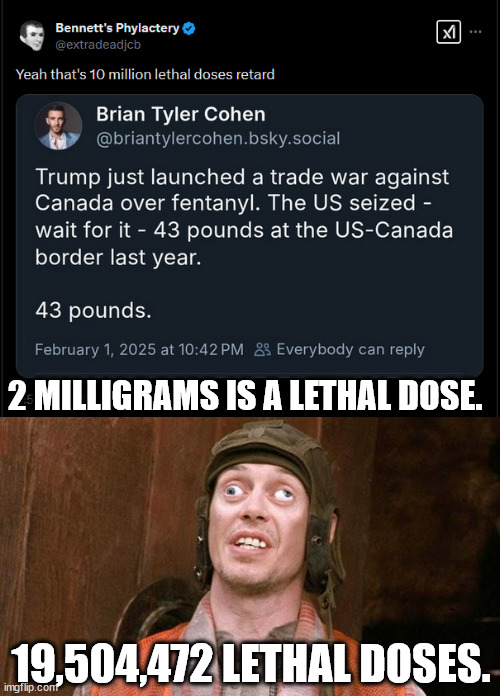 Some people are just too stupid to understand | 2 MILLIGRAMS IS A LETHAL DOSE. 19,504,472 LETHAL DOSES. | image tagged in steve buscemi,only 43 pounds,what about all the stuff they don't catch | made w/ Imgflip meme maker