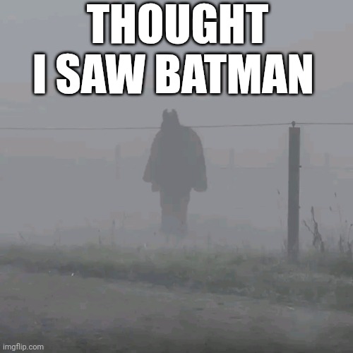 Thought I Saw Batman | THOUGHT I SAW BATMAN | image tagged in chris joines | made w/ Imgflip meme maker