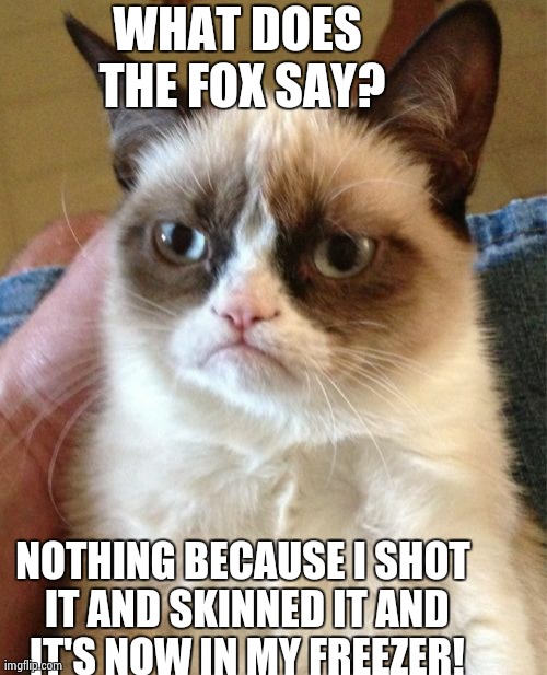 Grumpy Cat Meme | WHAT DOES THE FOX SAY? NOTHING BECAUSE I SHOT IT AND SKINNED IT AND IT'S NOW IN MY FREEZER! | image tagged in memes,grumpy cat | made w/ Imgflip meme maker