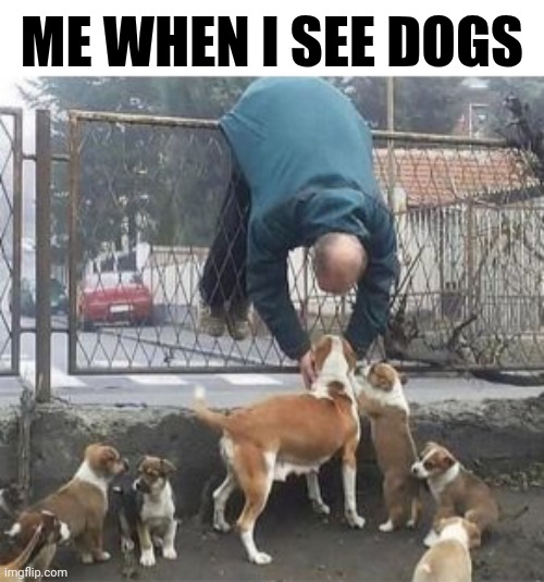 Me When I See Dogs | ME WHEN I SEE DOGS | image tagged in chris joines | made w/ Imgflip meme maker