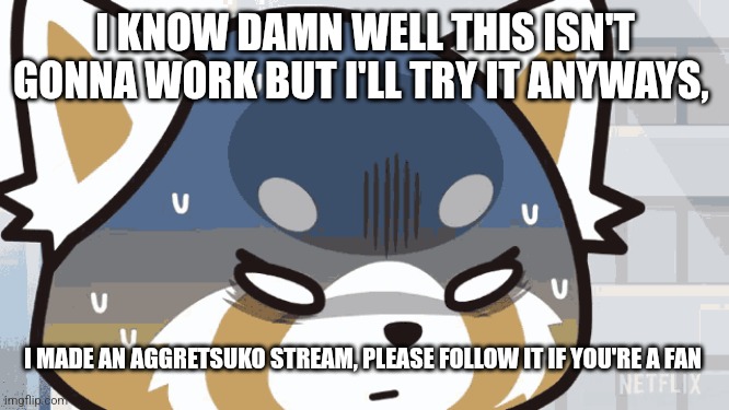 I KNOW DAMN WELL THIS ISN'T GONNA WORK BUT I'LL TRY IT ANYWAYS, I MADE AN AGGRETSUKO STREAM, PLEASE FOLLOW IT IF YOU'RE A FAN | made w/ Imgflip meme maker