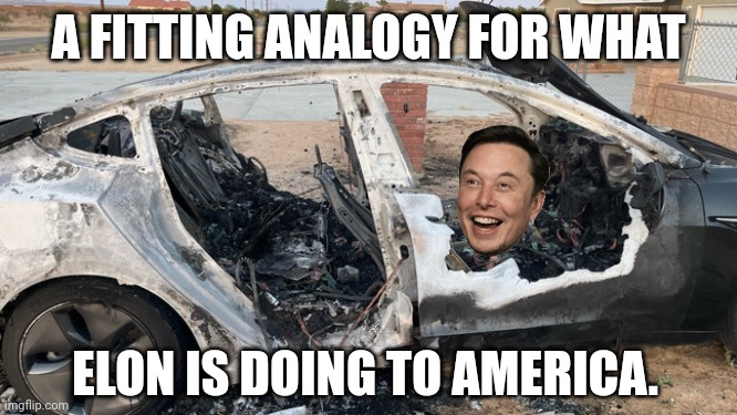 Elon Musk is twittering away at our country | A FITTING ANALOGY FOR WHAT; ELON IS DOING TO AMERICA. | image tagged in tesla,dumpster fire,american horror story,elon musk buying twitter,donald trump | made w/ Imgflip meme maker