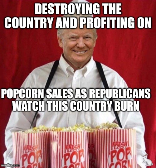 Sideshow huckster! | DESTROYING THE COUNTRY AND PROFITING ON; POPCORN SALES AS REPUBLICANS WATCH THIS COUNTRY BURN | image tagged in trump popcorn 2020,dumpster fire,burning house girl,scumbag republicans,scammer | made w/ Imgflip meme maker