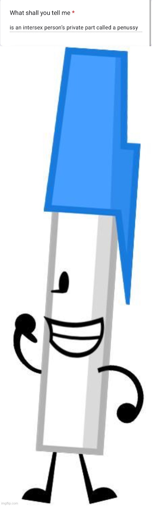 The Penussy | image tagged in pen bfdi | made w/ Imgflip meme maker