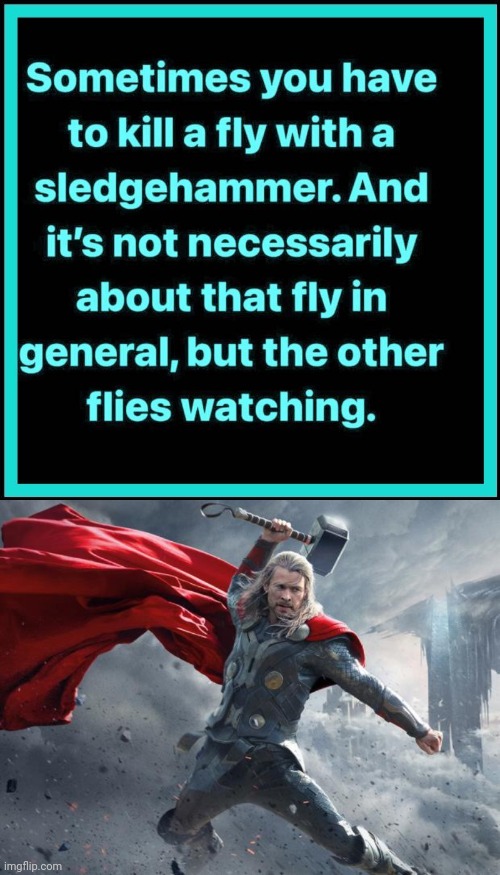 Kill a fly with a sledge hammer | image tagged in thor1,hammer | made w/ Imgflip meme maker