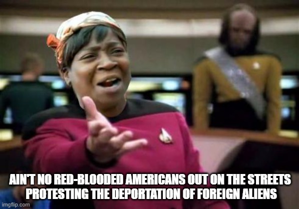 AntiFeds Again | AIN'T NO RED-BLOODED AMERICANS OUT ON THE STREETS 
PROTESTING THE DEPORTATION OF FOREIGN ALIENS | image tagged in aint nobody wtf time | made w/ Imgflip meme maker