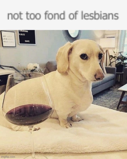 pretend its the lesbianophobic dog/link: https://forms.office.com/r/R9RvHPEzyS | image tagged in homophobic dog | made w/ Imgflip meme maker