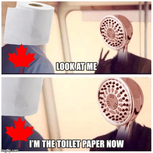 Canada gets 85% of it's toilet paper from the US | image tagged in shower head toilet paper canada meme | made w/ Imgflip meme maker