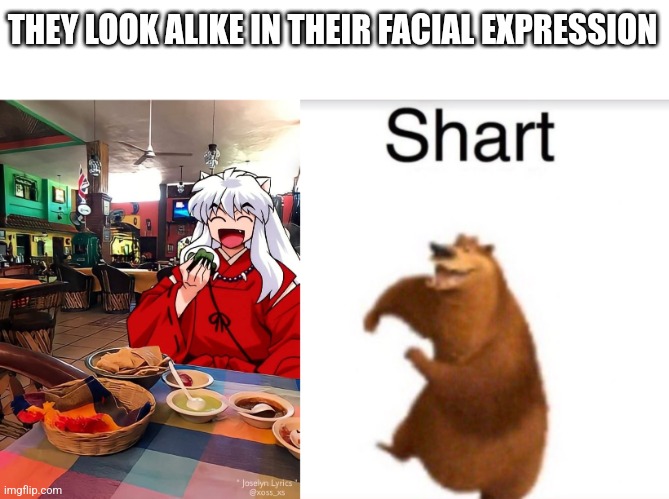 THEY LOOK ALIKE IN THEIR FACIAL EXPRESSION | image tagged in inuyasha,shart bear | made w/ Imgflip meme maker