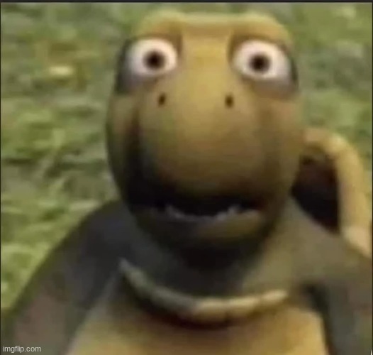 image tagged in vern | made w/ Imgflip meme maker