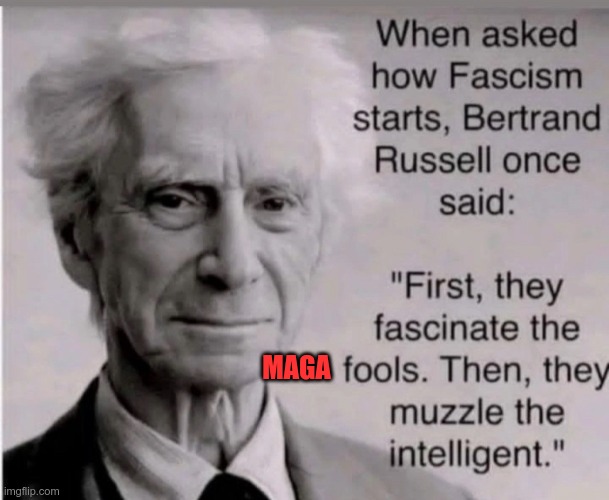MAGA Fascists | MAGA | image tagged in trump,gop,maga,nazi,fascists,fools | made w/ Imgflip meme maker