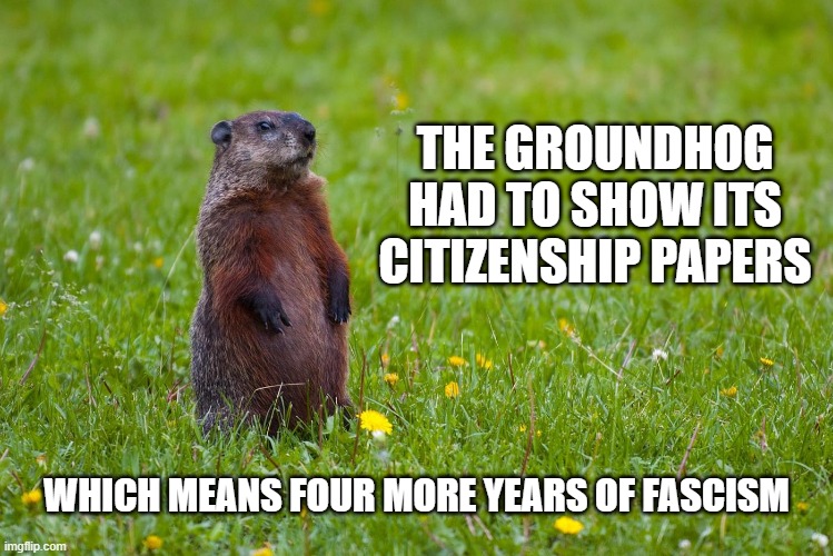 THE GROUNDHOG HAD TO SHOW ITS CITIZENSHIP PAPERS; WHICH MEANS FOUR MORE YEARS OF FASCISM | image tagged in fascism,groundhog | made w/ Imgflip meme maker