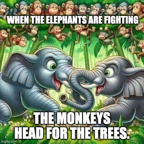 When the elephants are fighting the monekys head for the trees. | WHEN THE ELEPHANTS ARE FIGHTING; THE MONKEYS HEAD FOR THE TREES. | image tagged in elephants fighting monkeys in trees watching | made w/ Imgflip meme maker