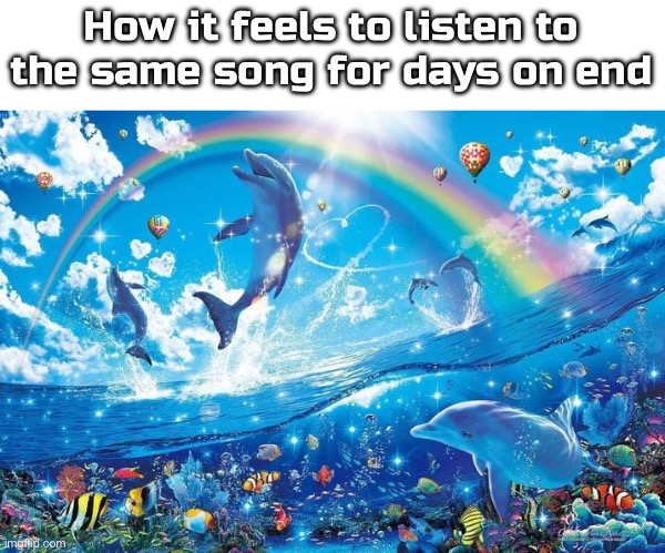 Happy dolphin rainbow | How it feels to listen to the same song for days on end | image tagged in happy dolphin rainbow | made w/ Imgflip meme maker