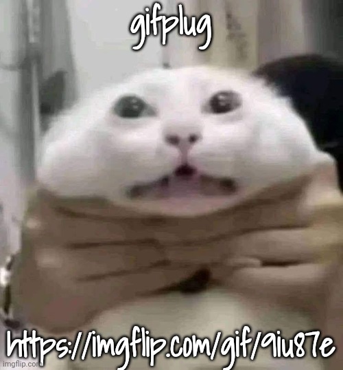 https://imgflip.com/gif/9iu87e | gifplug; https://imgflip.com/gif/9iu87e | image tagged in car | made w/ Imgflip meme maker