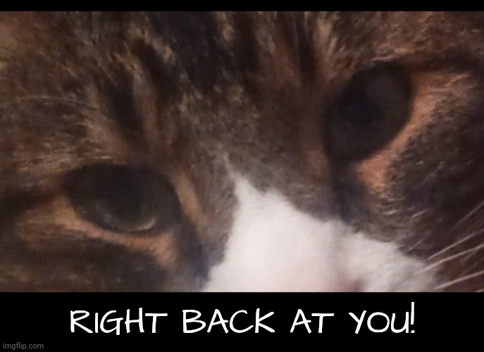 RIGHT BACK AT YOU! | made w/ Imgflip meme maker