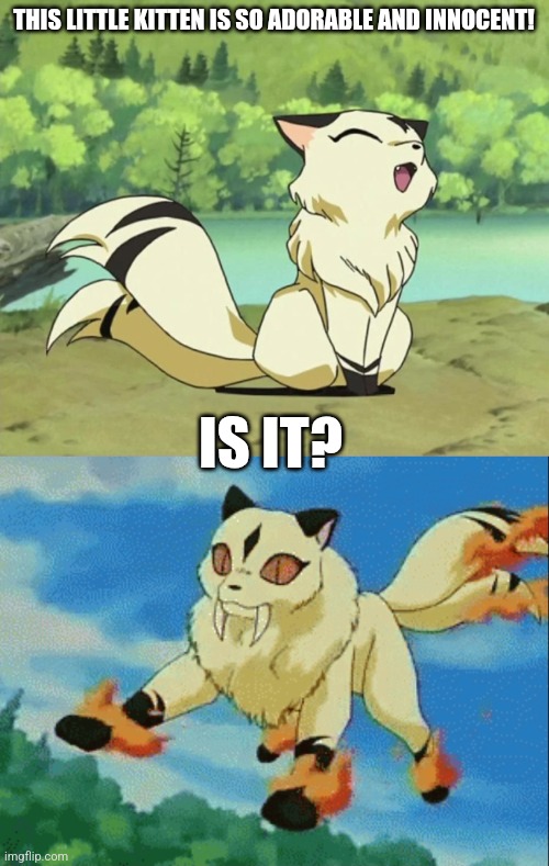 Kirara the fire demon kitty | THIS LITTLE KITTEN IS SO ADORABLE AND INNOCENT! IS IT? | image tagged in kirara meowing,kirara,inuyasha,cats,anime | made w/ Imgflip meme maker