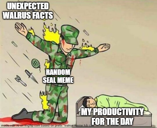Soldier protecting sleeping child | UNEXPECTED WALRUS FACTS; RANDOM SEAL MEME; MY PRODUCTIVITY FOR THE DAY | image tagged in soldier protecting sleeping child | made w/ Imgflip meme maker