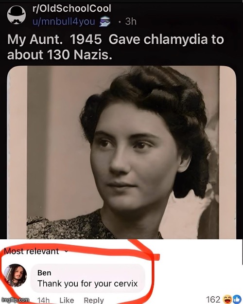 Your Auntie was a hero | image tagged in wwii,nazis,aunt,chlamydia,std | made w/ Imgflip meme maker