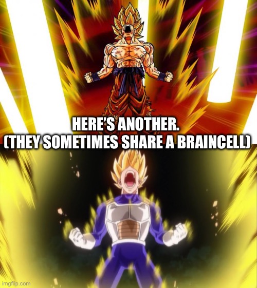 HERE’S ANOTHER. 
(THEY SOMETIMES SHARE A BRAINCELL) | image tagged in super saiyan,that's my bulma | made w/ Imgflip meme maker