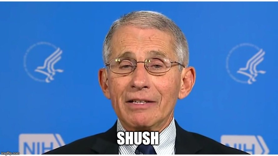 Dr Fauci | SHUSH | image tagged in dr fauci | made w/ Imgflip meme maker