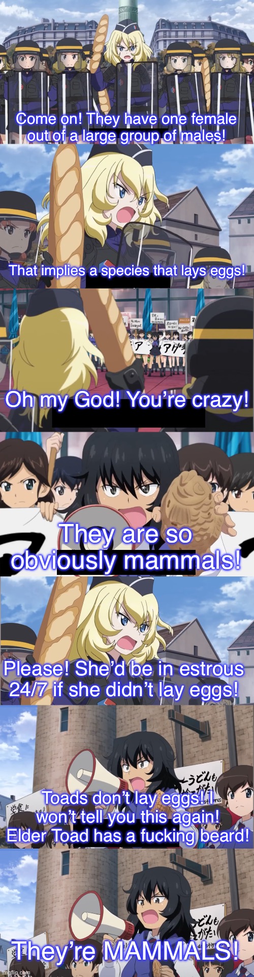 Andou and Oshida at it again | Come on! They have one female out of a large group of males! That implies a species that lays eggs! Oh my God! You’re crazy! They are so obviously mammals! Please! She’d be in estrous 24/7 if she didn’t lay eggs! Toads don’t lay eggs! I won’t tell you this again! Elder Toad has a fucking beard! They’re MAMMALS! | image tagged in girls und panzer,venture bros,parody,meme,reference,mario | made w/ Imgflip meme maker