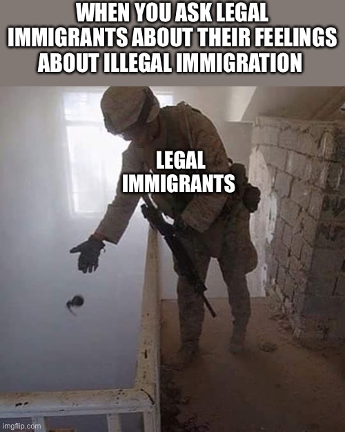 Immigration | WHEN YOU ASK LEGAL IMMIGRANTS ABOUT THEIR FEELINGS ABOUT ILLEGAL IMMIGRATION; LEGAL IMMIGRANTS | image tagged in grenade drop,illegal immigration,immigration,politics,political meme | made w/ Imgflip meme maker