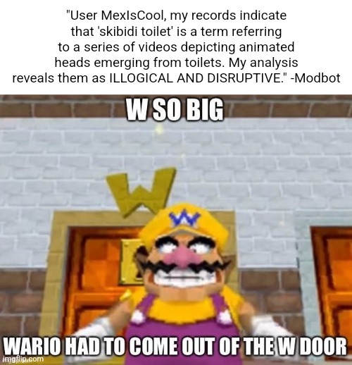 W so big Wario | "User MexIsCool, my records indicate that 'skibidi toilet' is a term referring to a series of videos depicting animated heads emerging from toilets. My analysis reveals them as ILLOGICAL AND DISRUPTIVE." -Modbot | image tagged in w so big wario | made w/ Imgflip meme maker