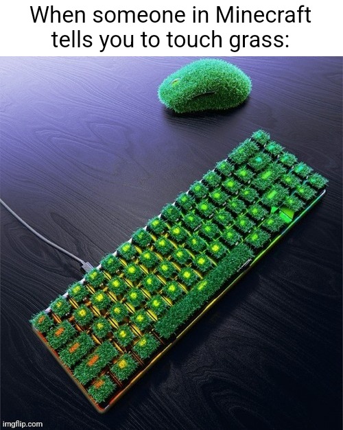 When someone in Minecraft tells you to touch grass: | made w/ Imgflip meme maker