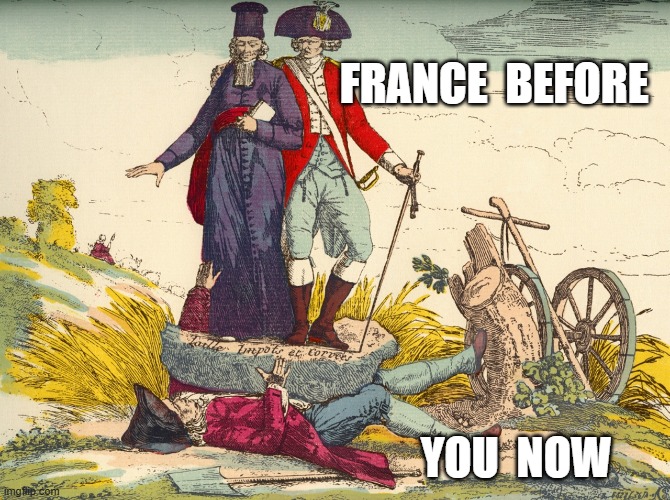 Spirit of 1789 | FRANCE  BEFORE; YOU  NOW | image tagged in usa | made w/ Imgflip meme maker